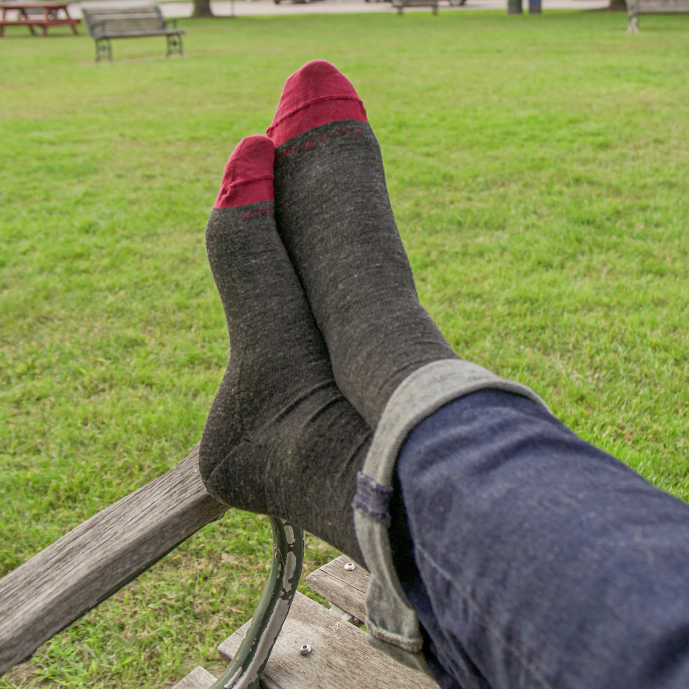 Men's Solid Crew Lightweight Lifestyle Socks - Image 9